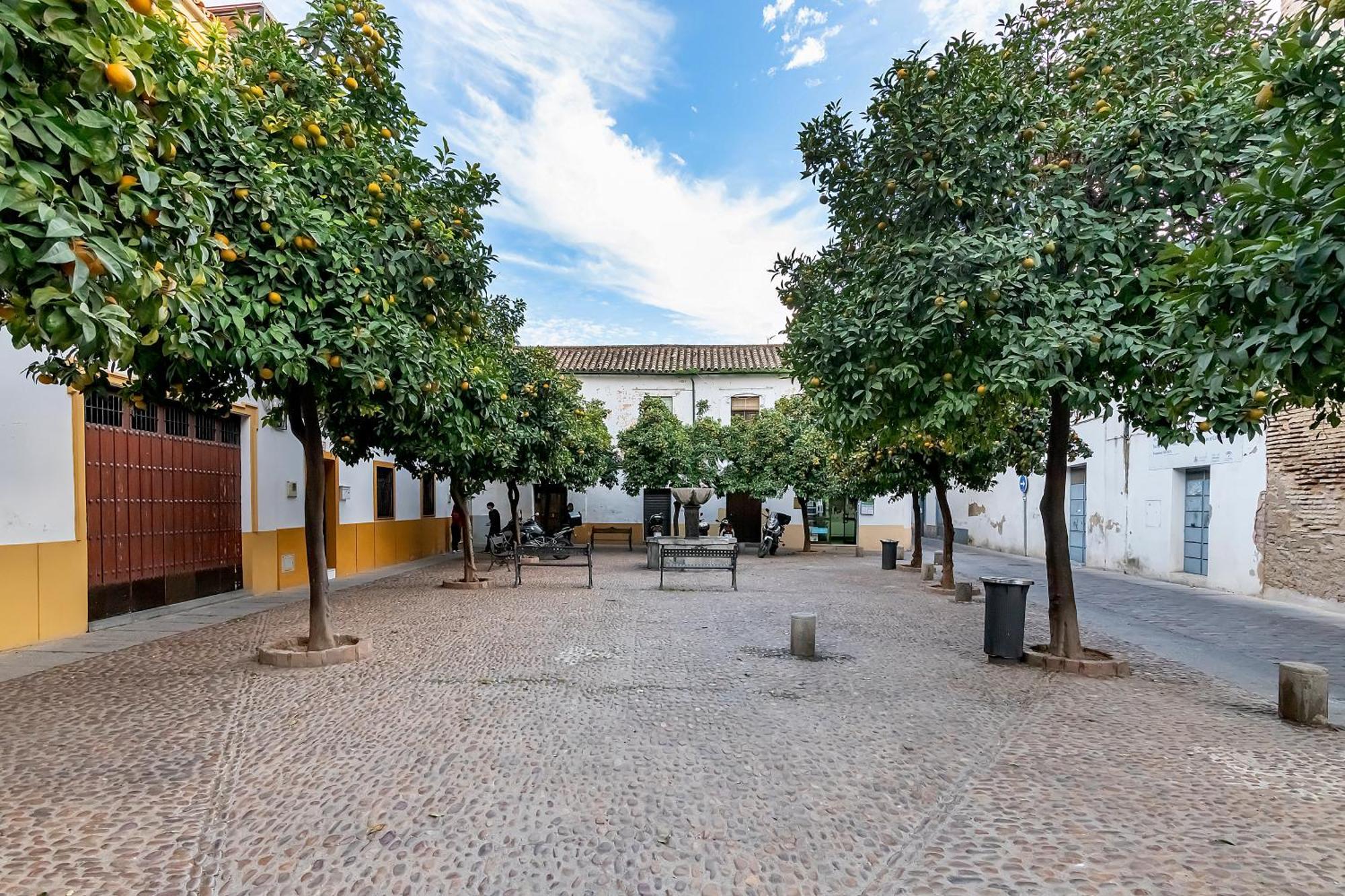 Apartament Bhost - Yayo Pepe